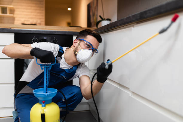 Best Pest Removal Services  in Mission Hills, CA