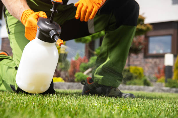 Best Ant Control Services  in Mission Hills, CA