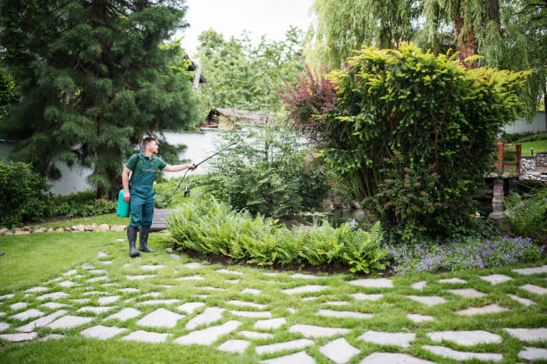 Best Pest Control for Restaurants  in Mission Hills, CA