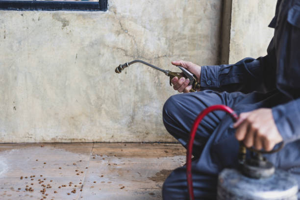 Best Emergency Pest Control  in Mission Hills, CA